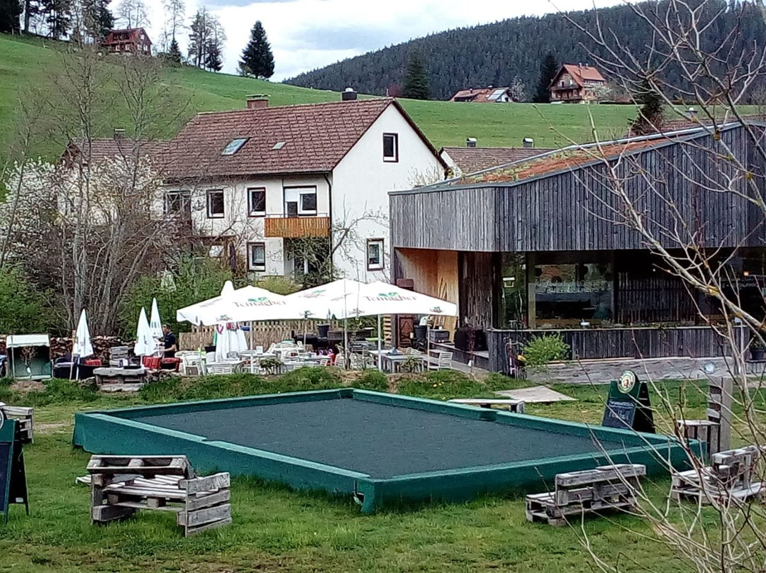 Schwarzwald Idylle-拜尔斯布龙必去景点