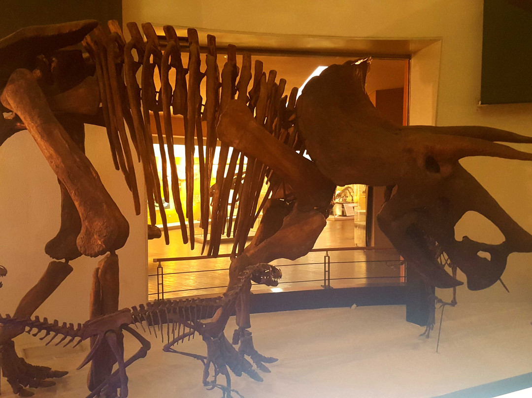 Mokpo Natural History Museum-木浦市必去景点