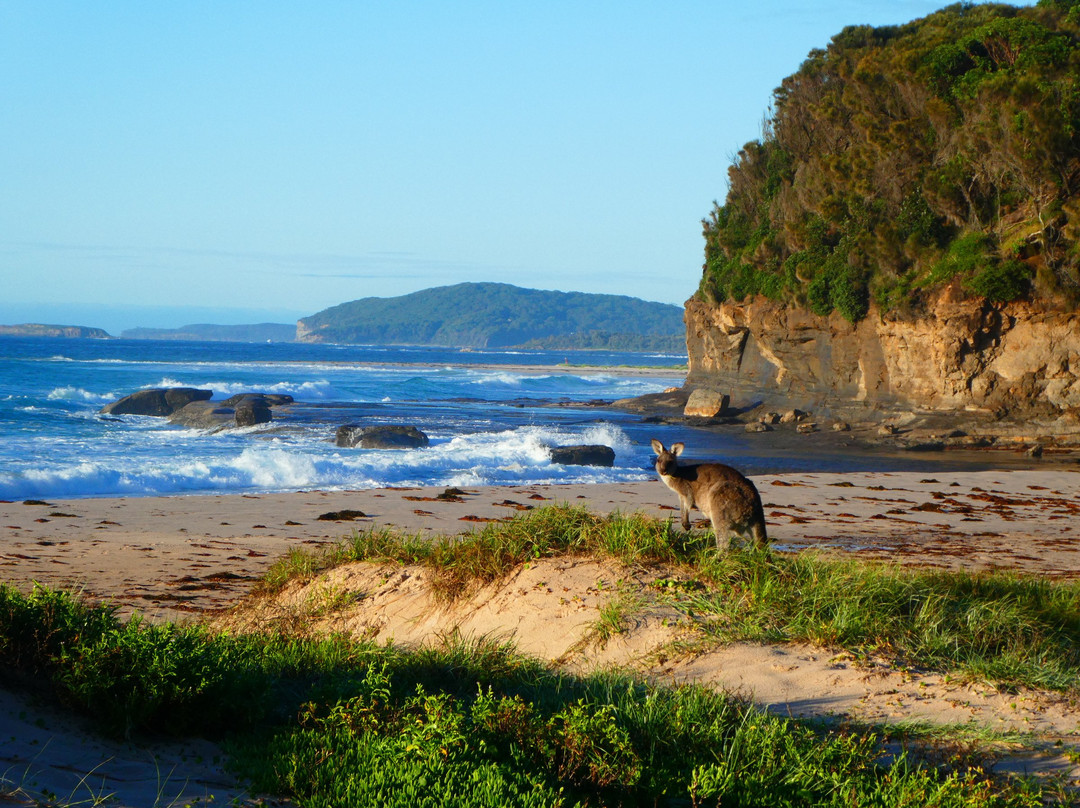 Pretty Beach Caravan Park
