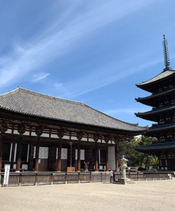 Kofuku-ji Temple 5 Stories Pagoda景点门票图片