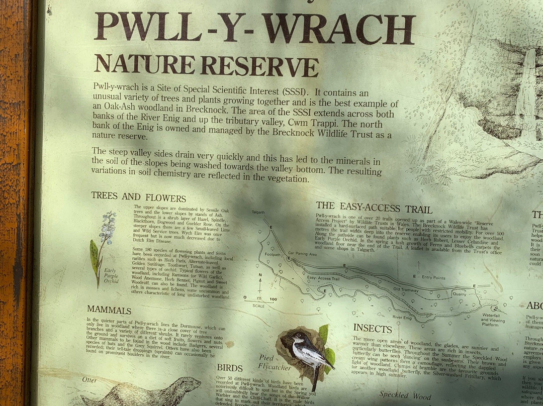 Pwll-y-wrach Nature Reserve景点图片