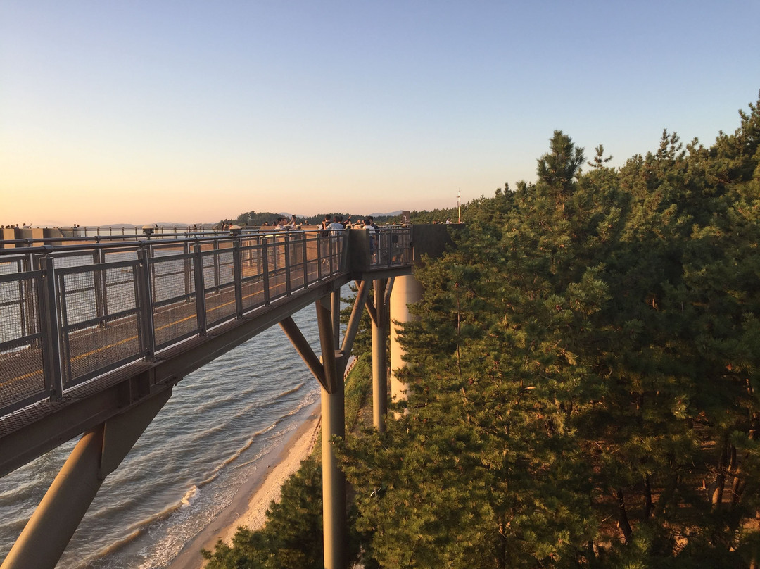 Janghang Skywalk-舒川郡必去景点