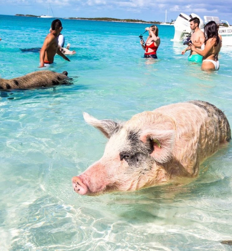 Live Good Adventures-George Town必去景点