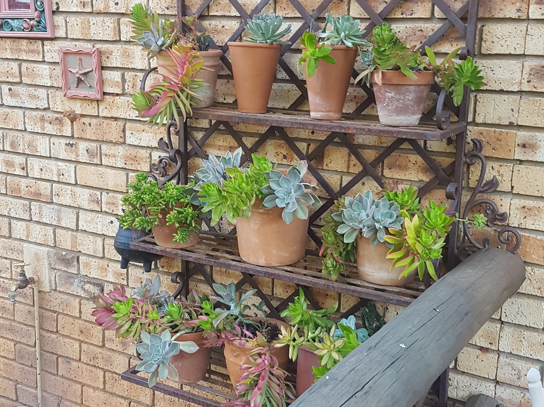 Boubou Bed And Breakfast主图