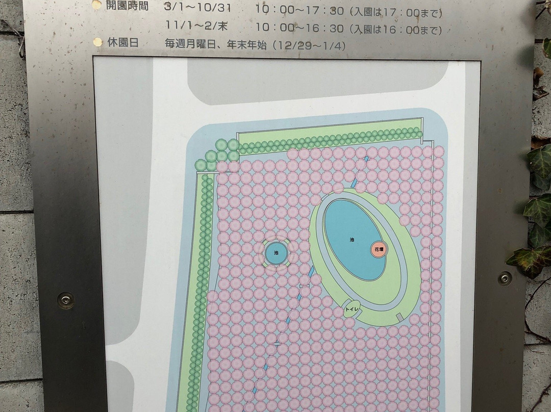 Sakura Hiroba-习志野市必去景点