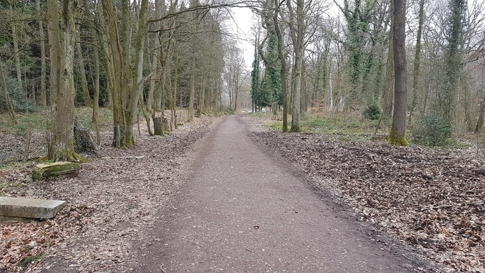 Bois de la Vequée景点图片
