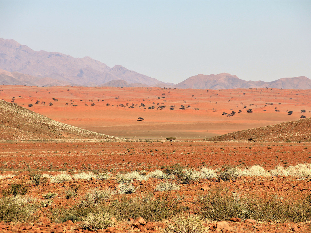 Hardap Region旅游攻略图片