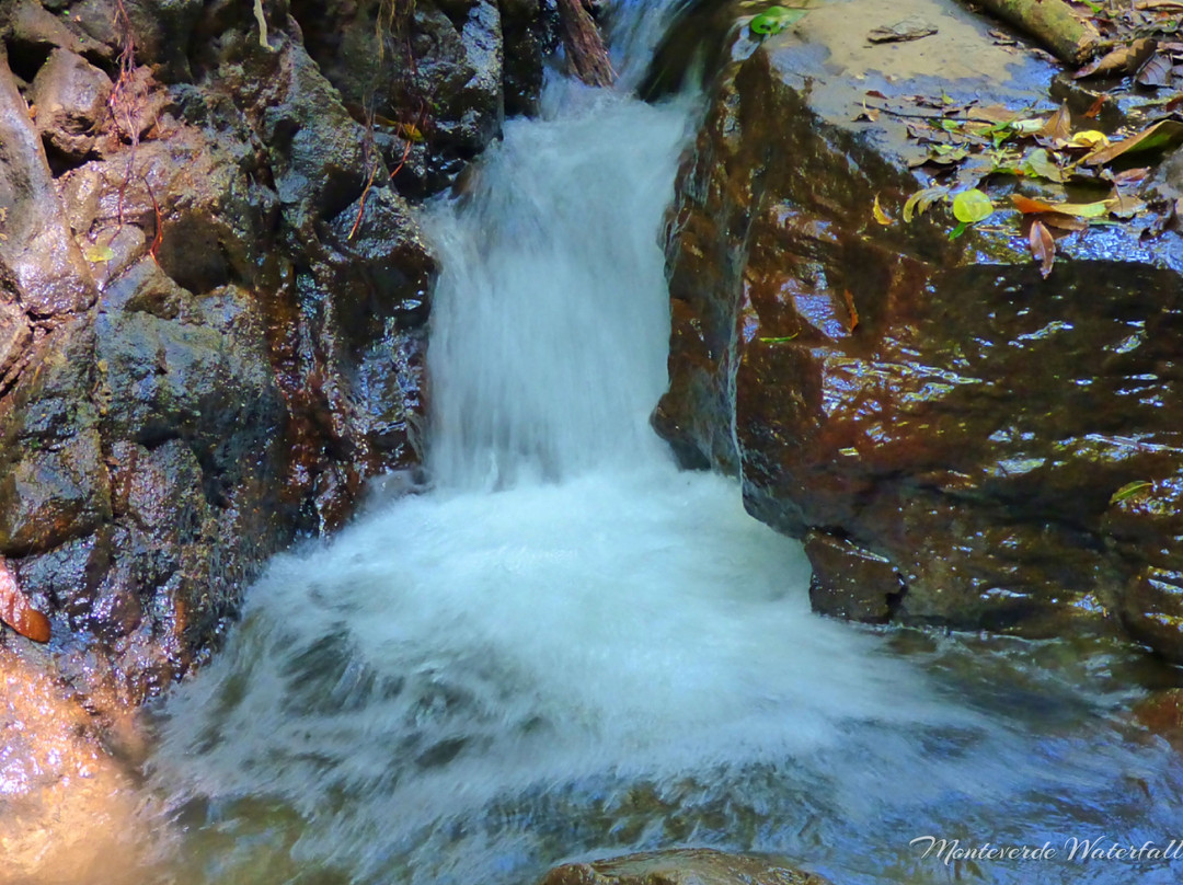 Catarata Los Murcielagos - Monteverde Waterfall景点图片