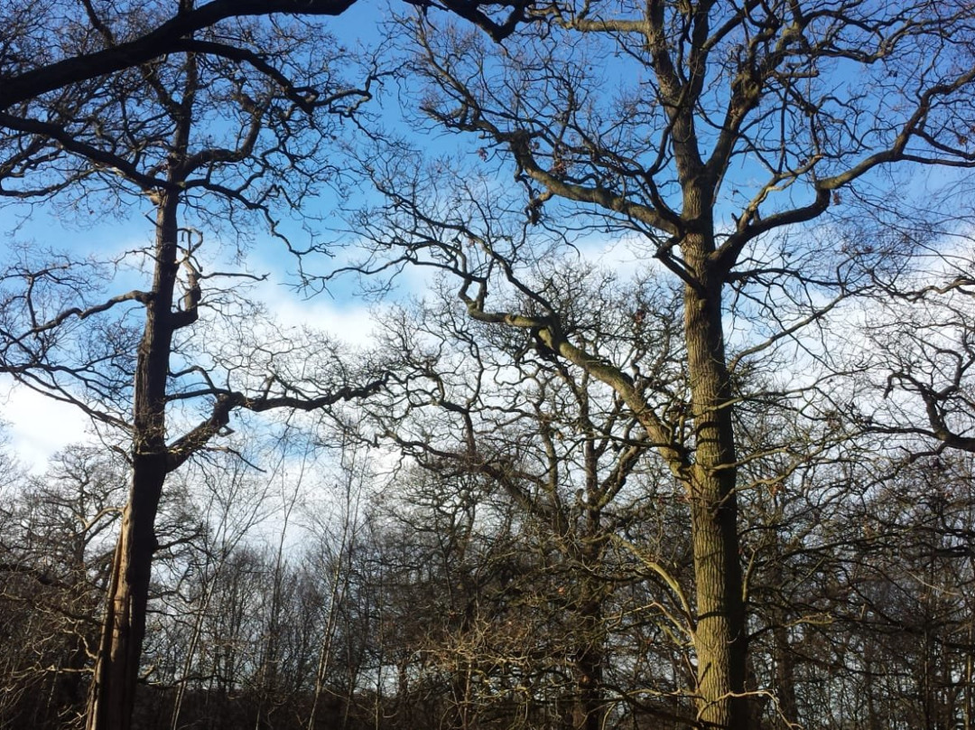 Parndon Wood Nature Reserve景点图片