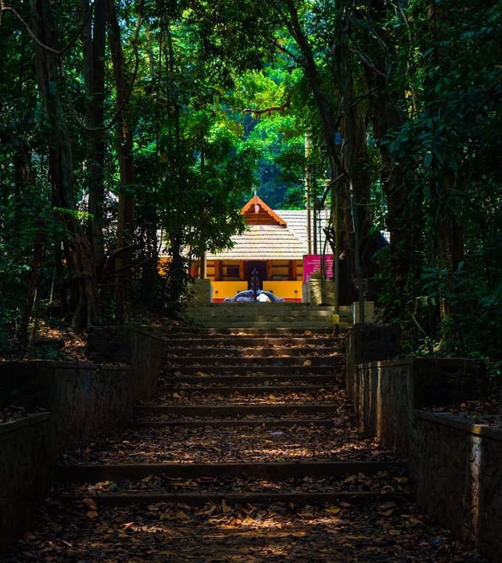 Iringole Forest Temple景点图片