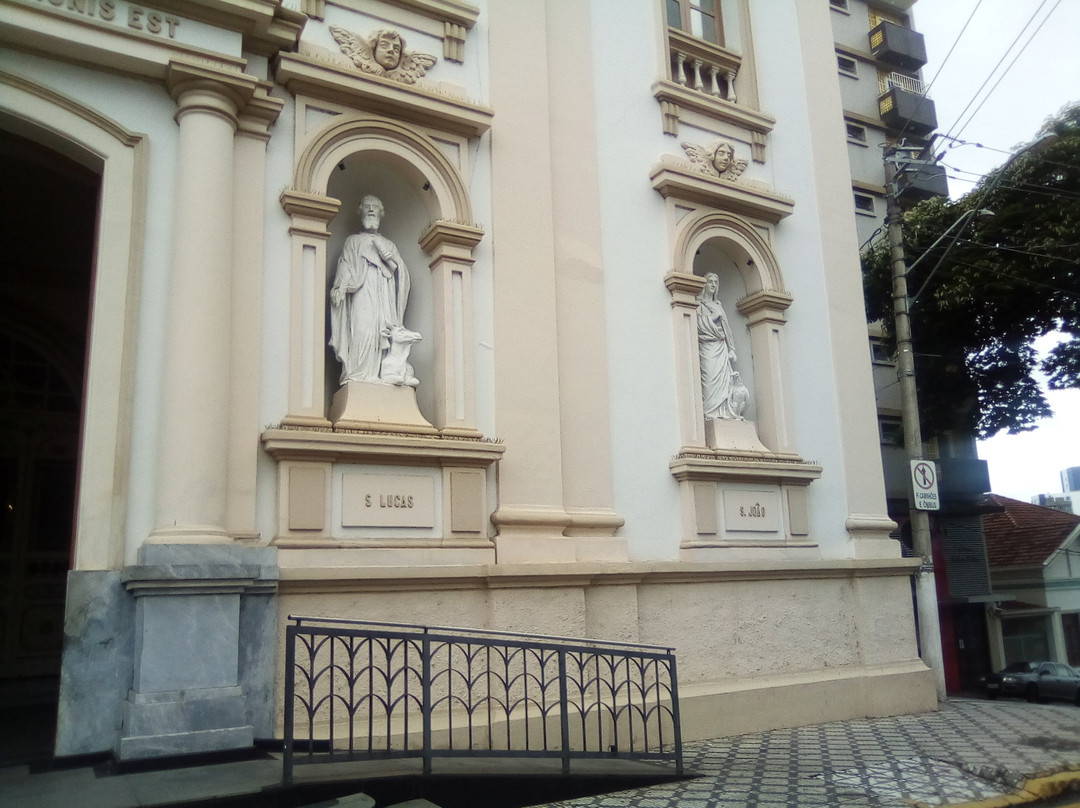 Catedral Santo Antônio景点图片