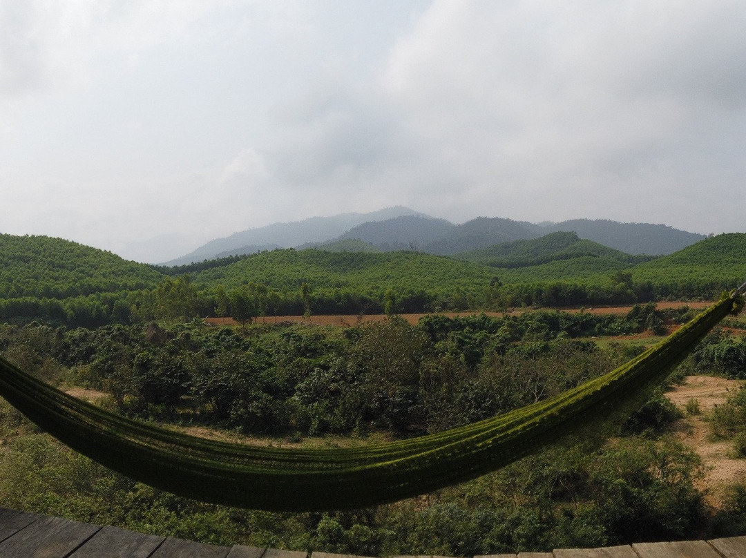 Nông Trại Cường Rừng主图