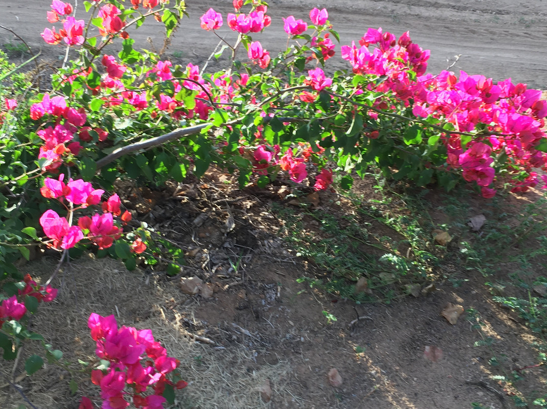 Happy Lands Farmstay主图