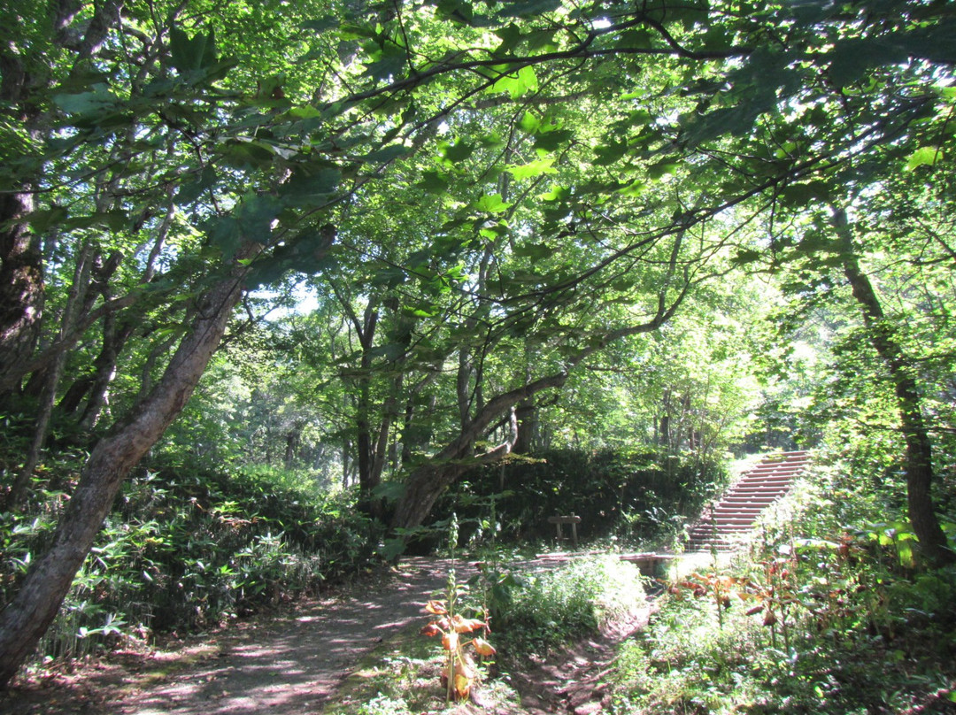 Forest of Tokoro Remains-北见市必去景点