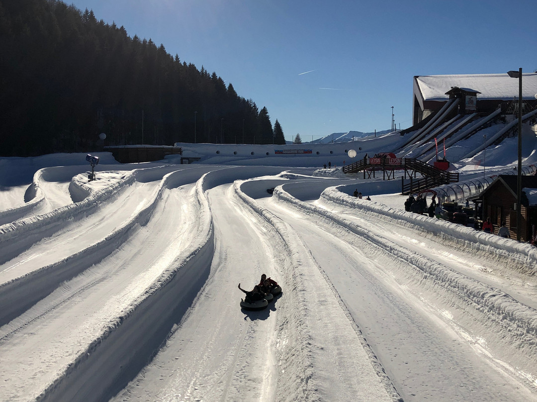 Tobogganing Park景点图片