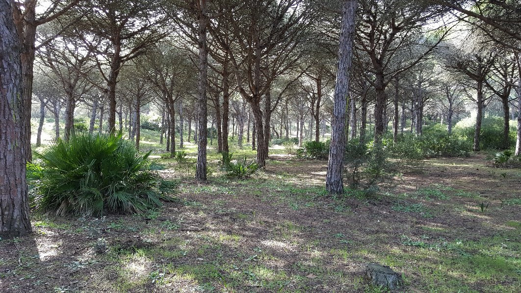 Sendero De Los Acantilados-Los Canos de Meca必去景点