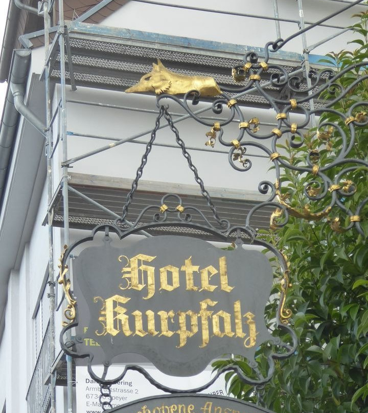 Hotel Kurpfalz主图
