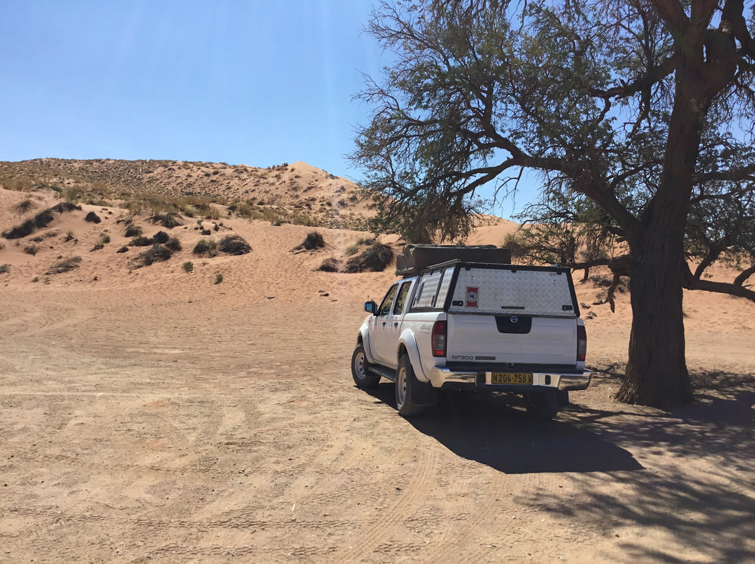 Elim Dunes-Namib-Naukluft Park必去景点