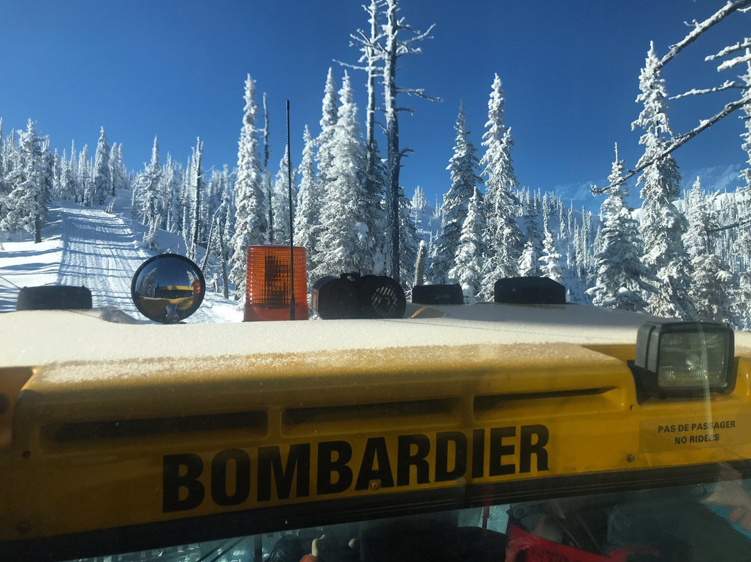 Fernie Wilderness Day Adventures-弗尼必去景点