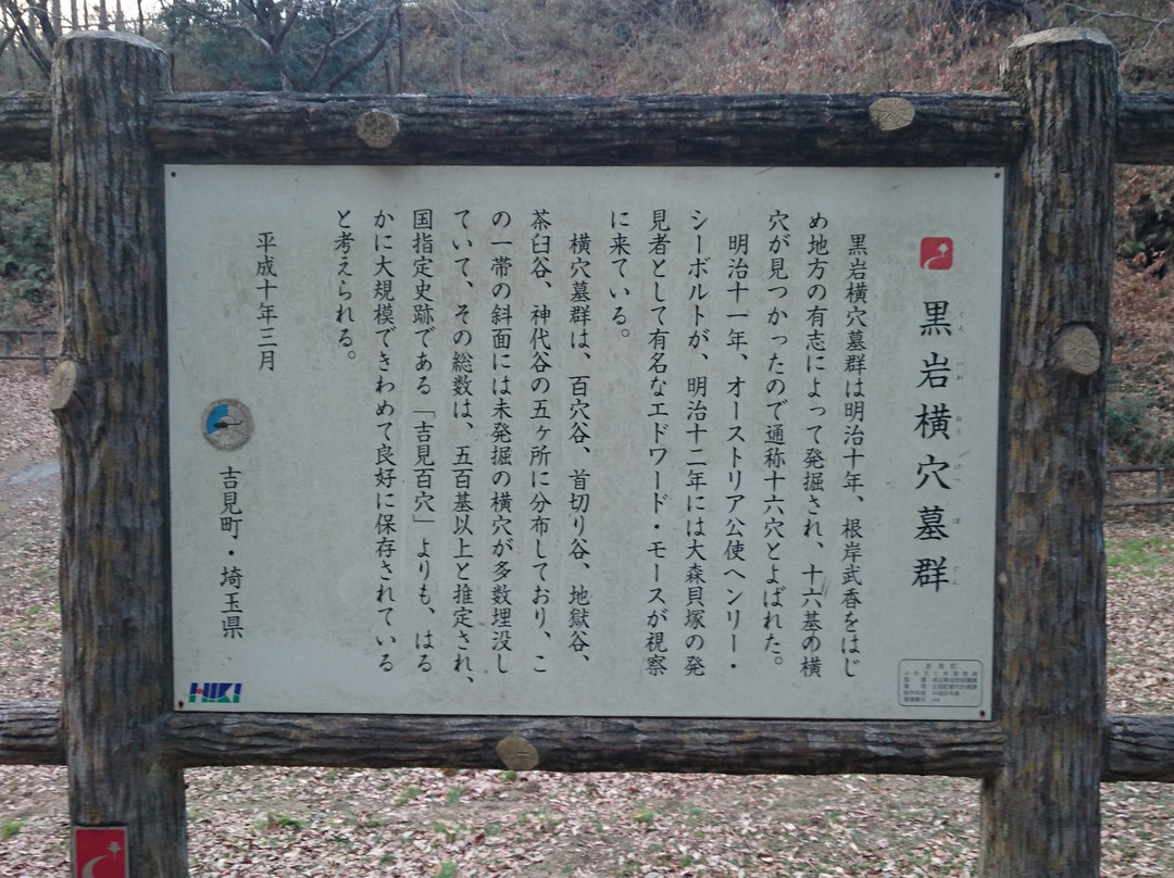 Kuroiwa Yokoanabogun-吉见町必去景点