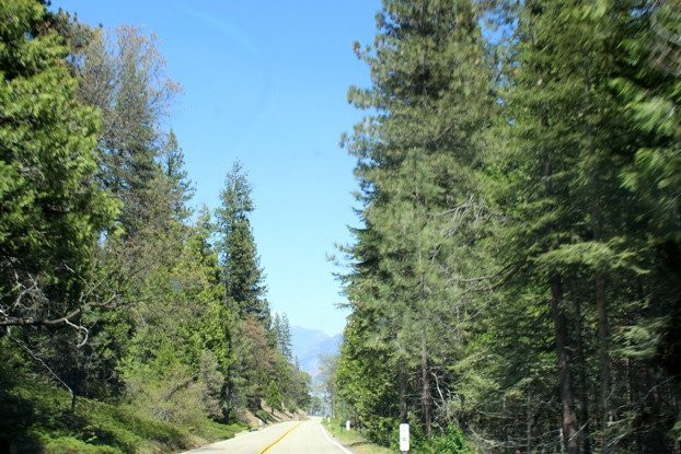 Kings Canyon Scenic Drive-红杉&国王峡谷国家公园必去景点