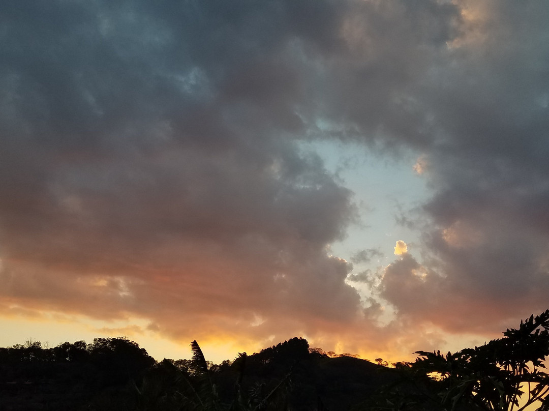 Hotel Barons Resort主图