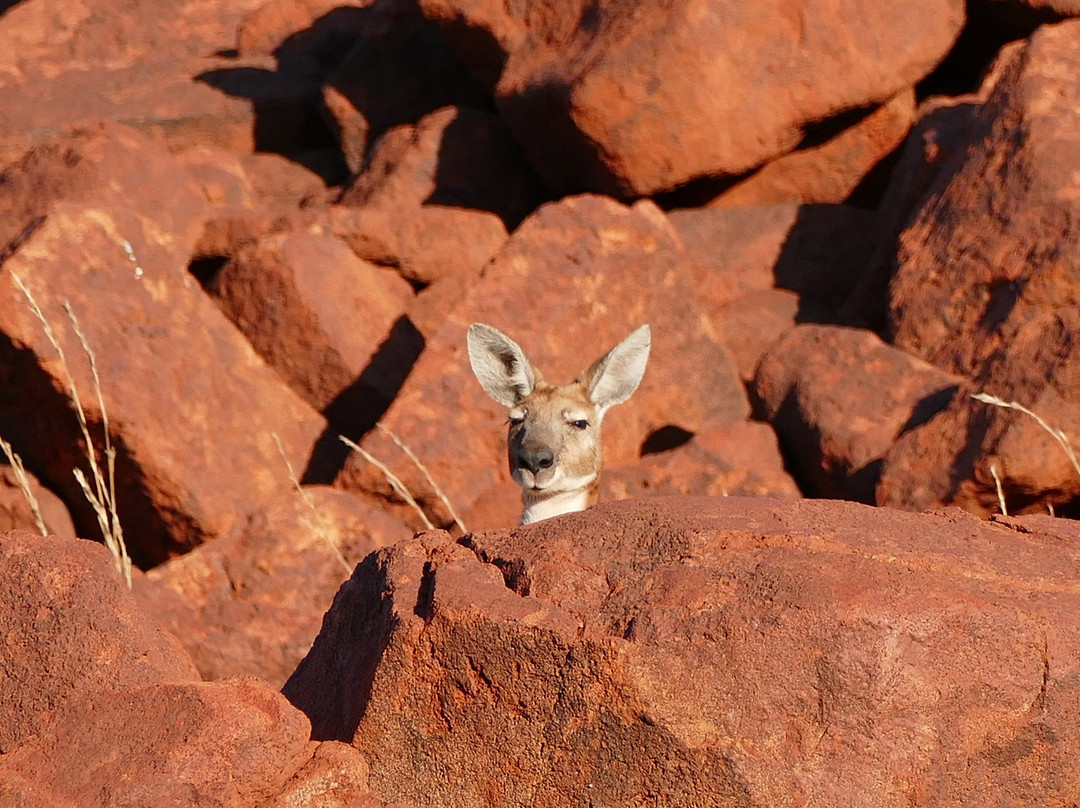 Deep Gorge-Dampier必去景点