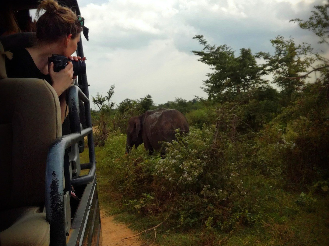 Udawalawe Safari Fun-乌达瓦拉瓦必去景点