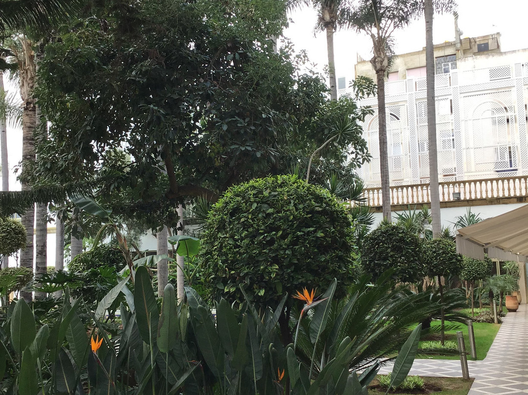 La Tour Hassan Palace主图