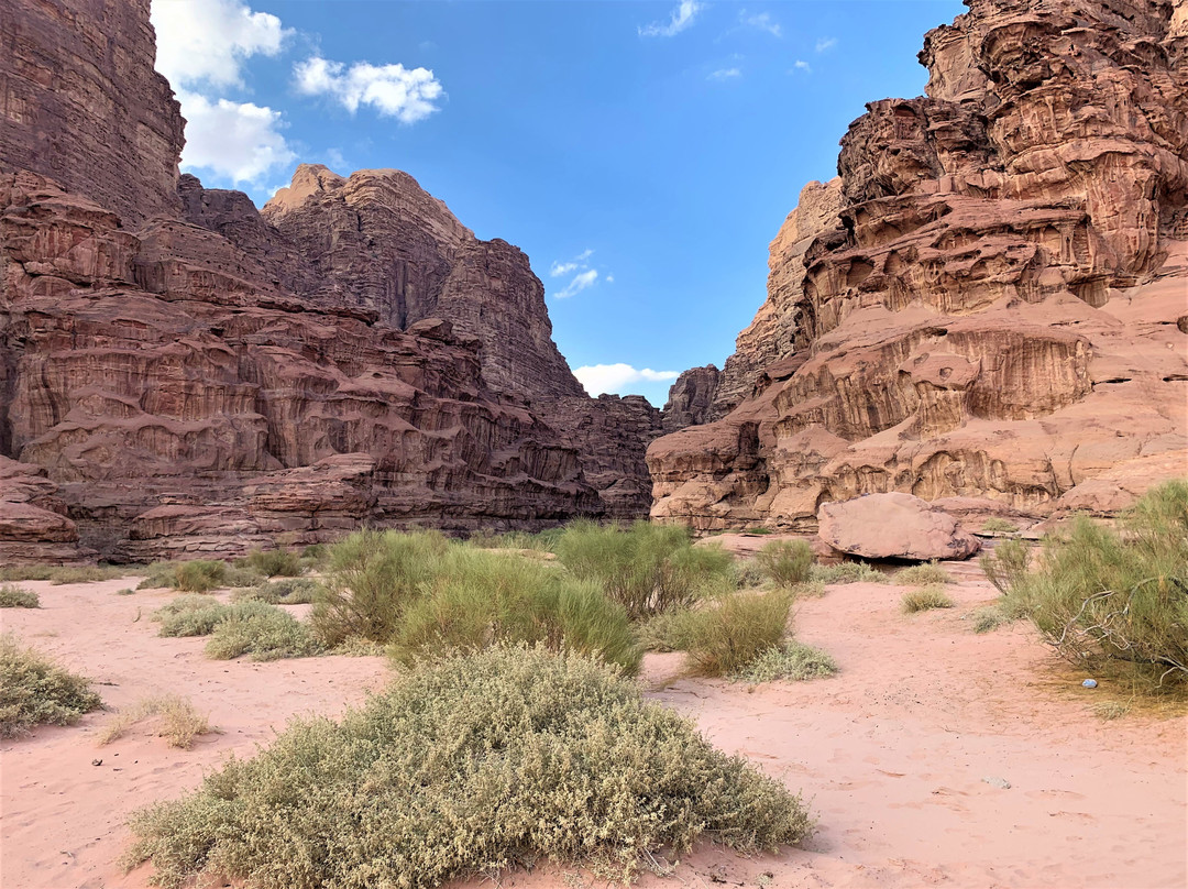 Al Aqabah Governorate旅游攻略图片