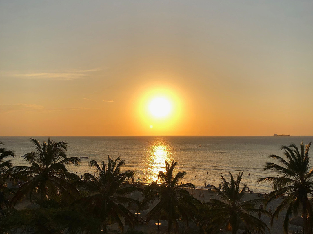 Hotel Irotama Lago主图