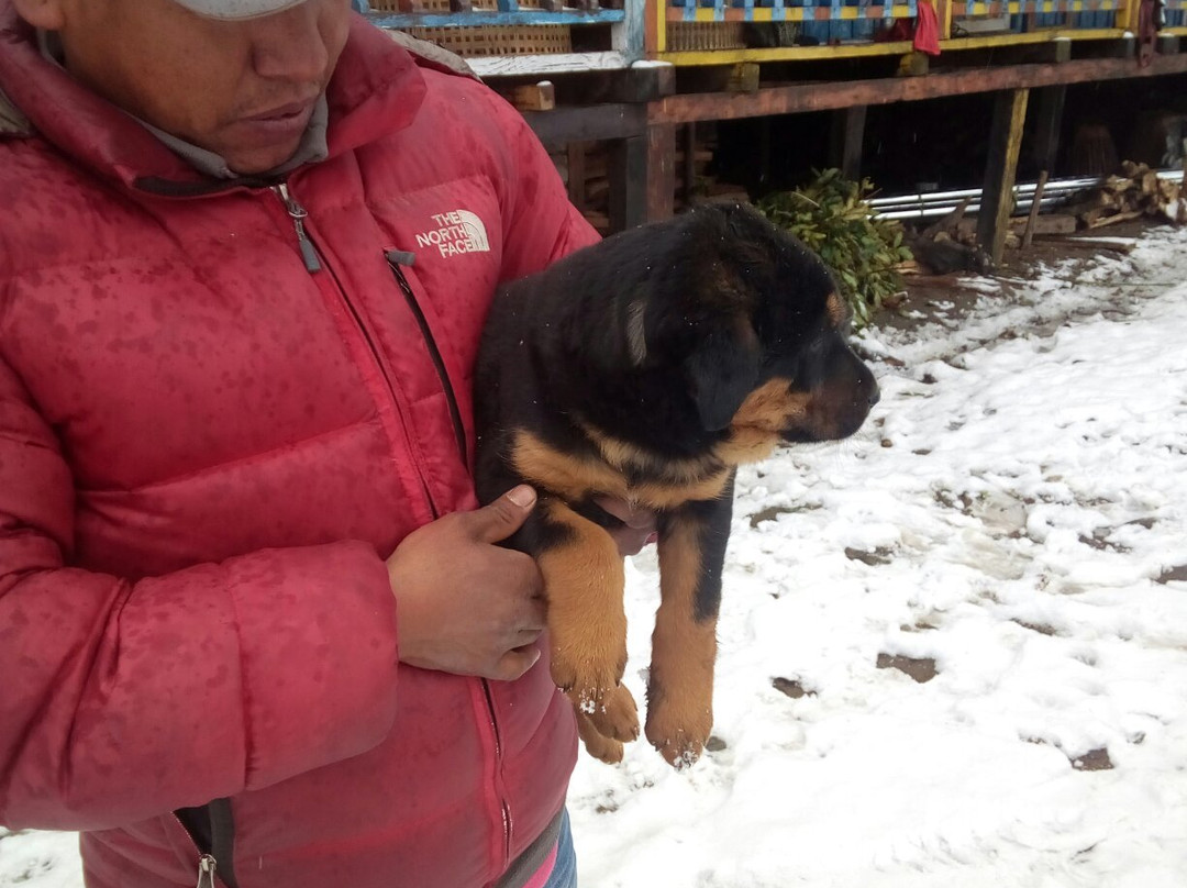 Eco Guest House主图