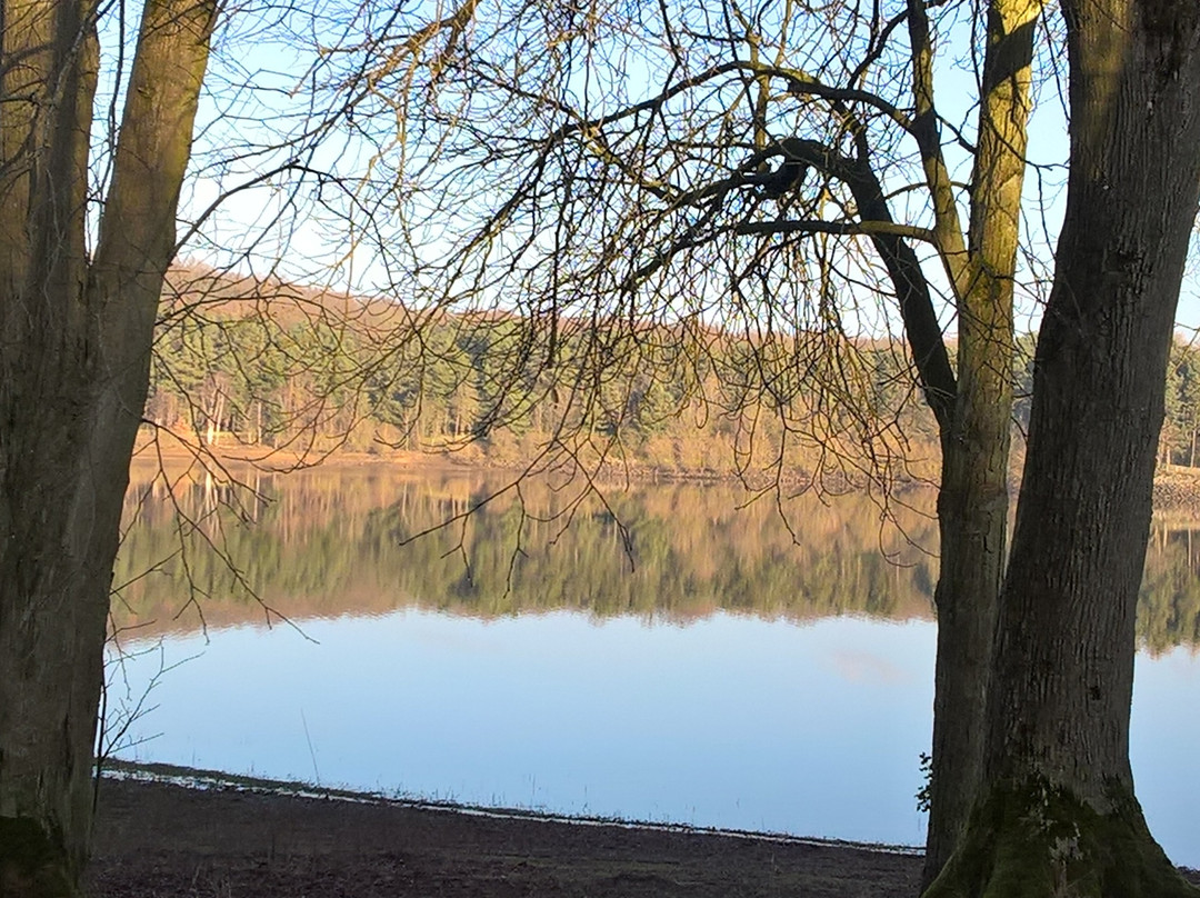 Swinsty Reservoir景点图片