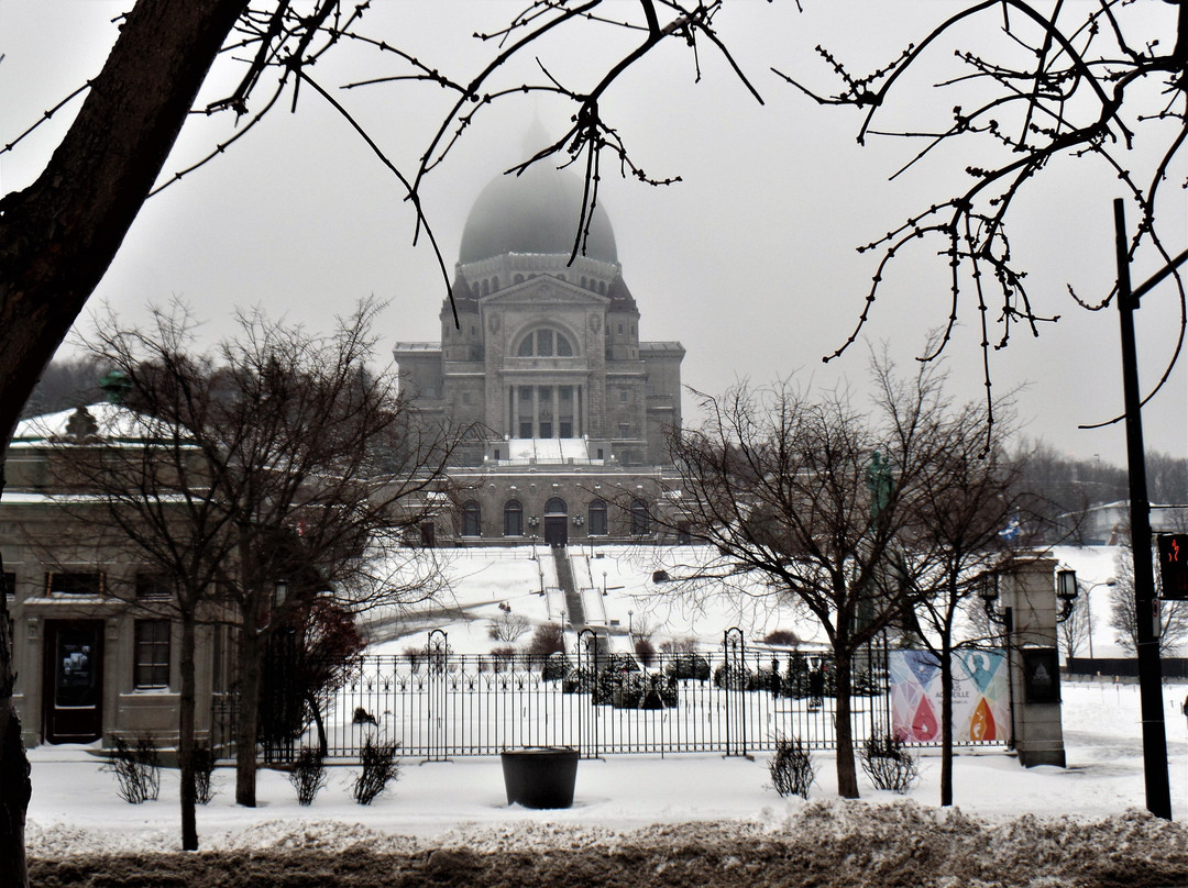 Cathedral of Marie-Reine-du-Monde景点图片