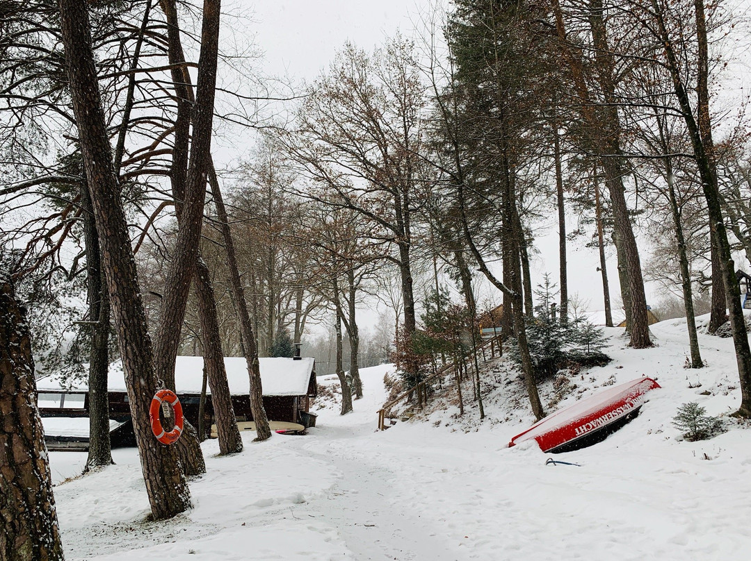 Steinsee-Moosach必去景点