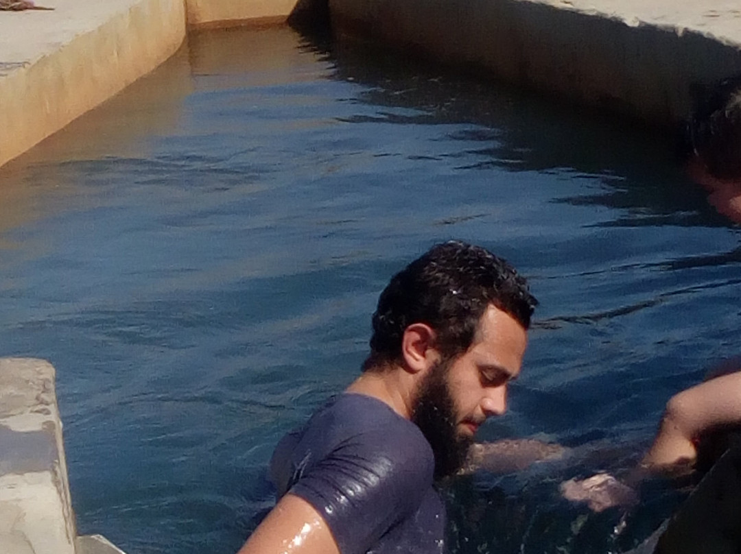 Al-Khargah Oasis-Kharga必去景点