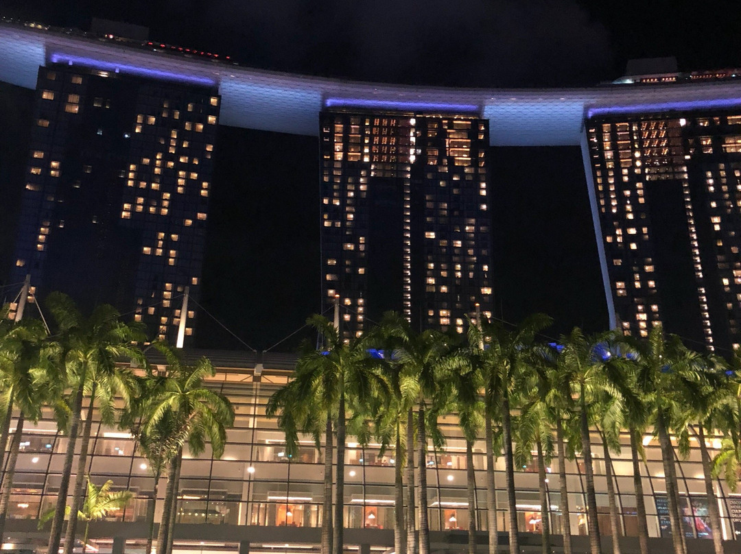 Prime Aces Limousine-新加坡必去景点