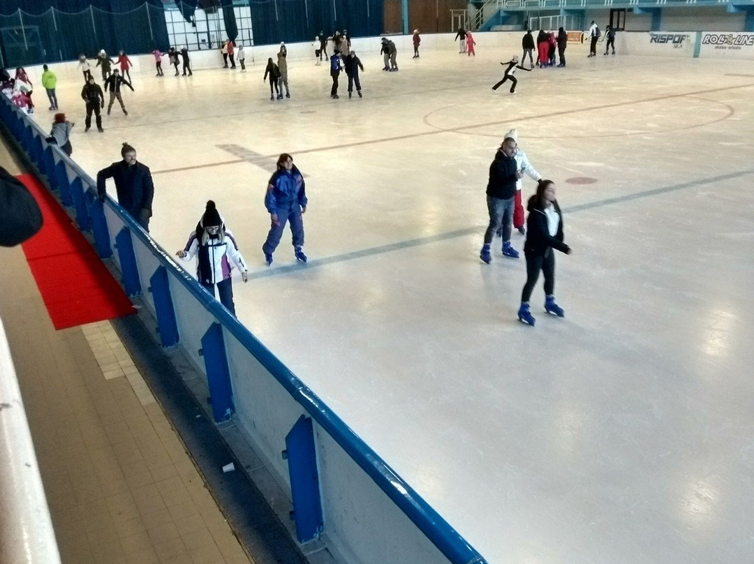 Palaghiaccio G. Bolino景点图片