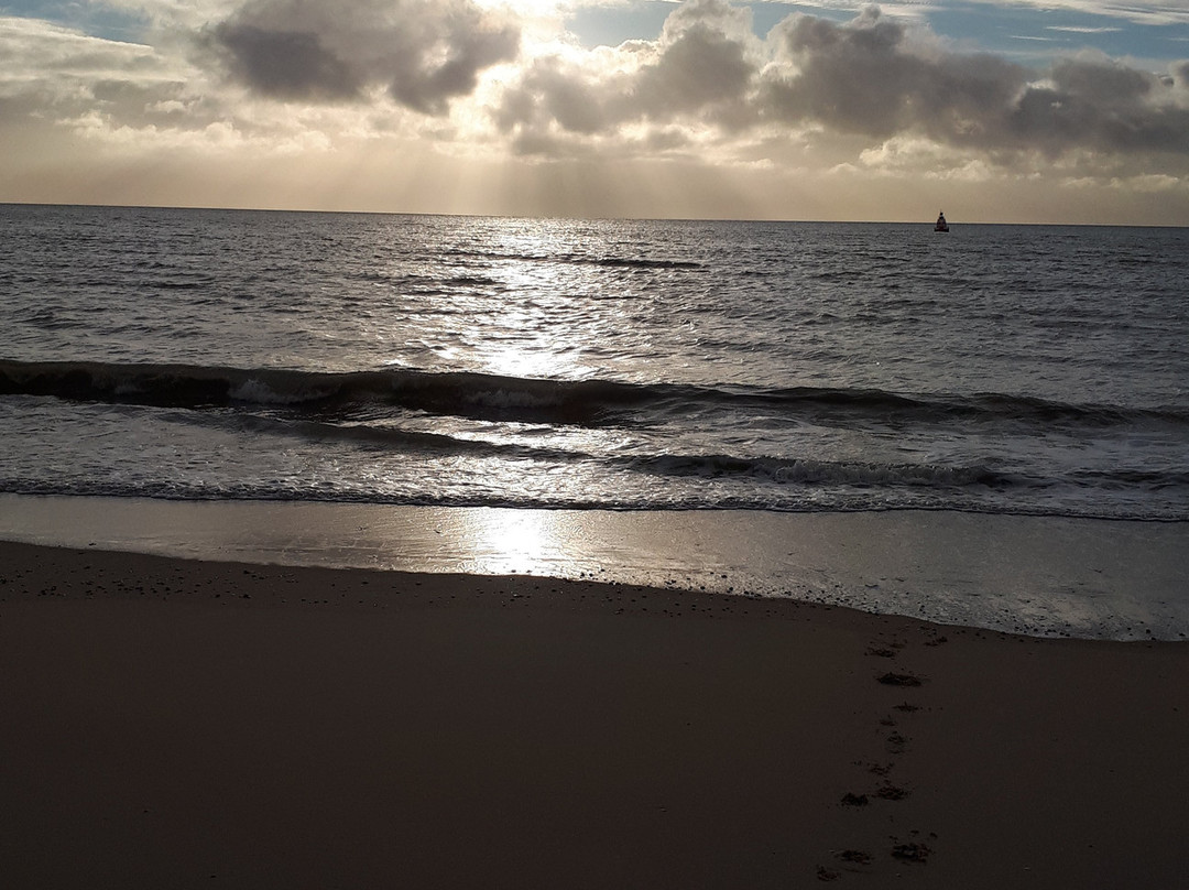 Beach Hotel主图