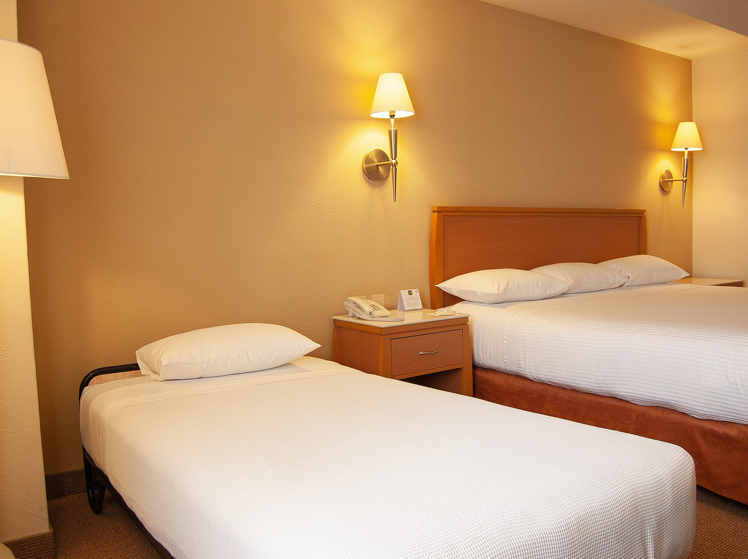 Turotel Queretaro主图