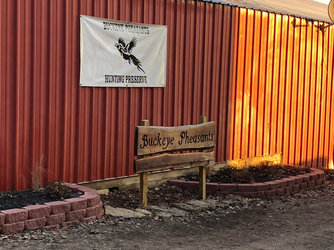 Buckeye Pheasant Hunting Preserve-New Lebanon必去景点