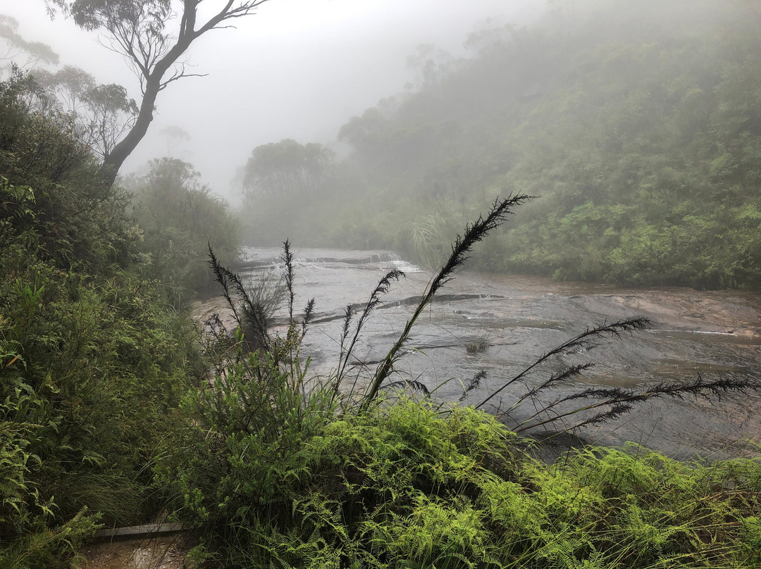 Braeside Trail景点图片