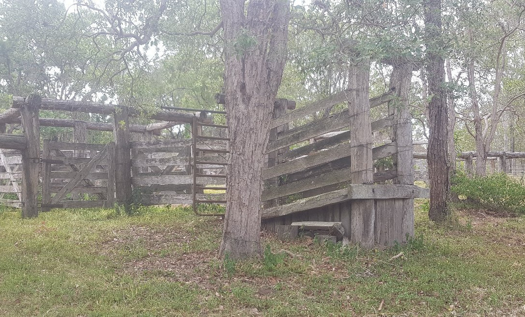 Bania National Park-Mount Perry必去景点