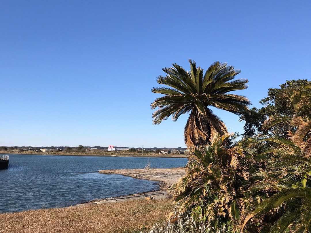 Isumi River Area景点图片
