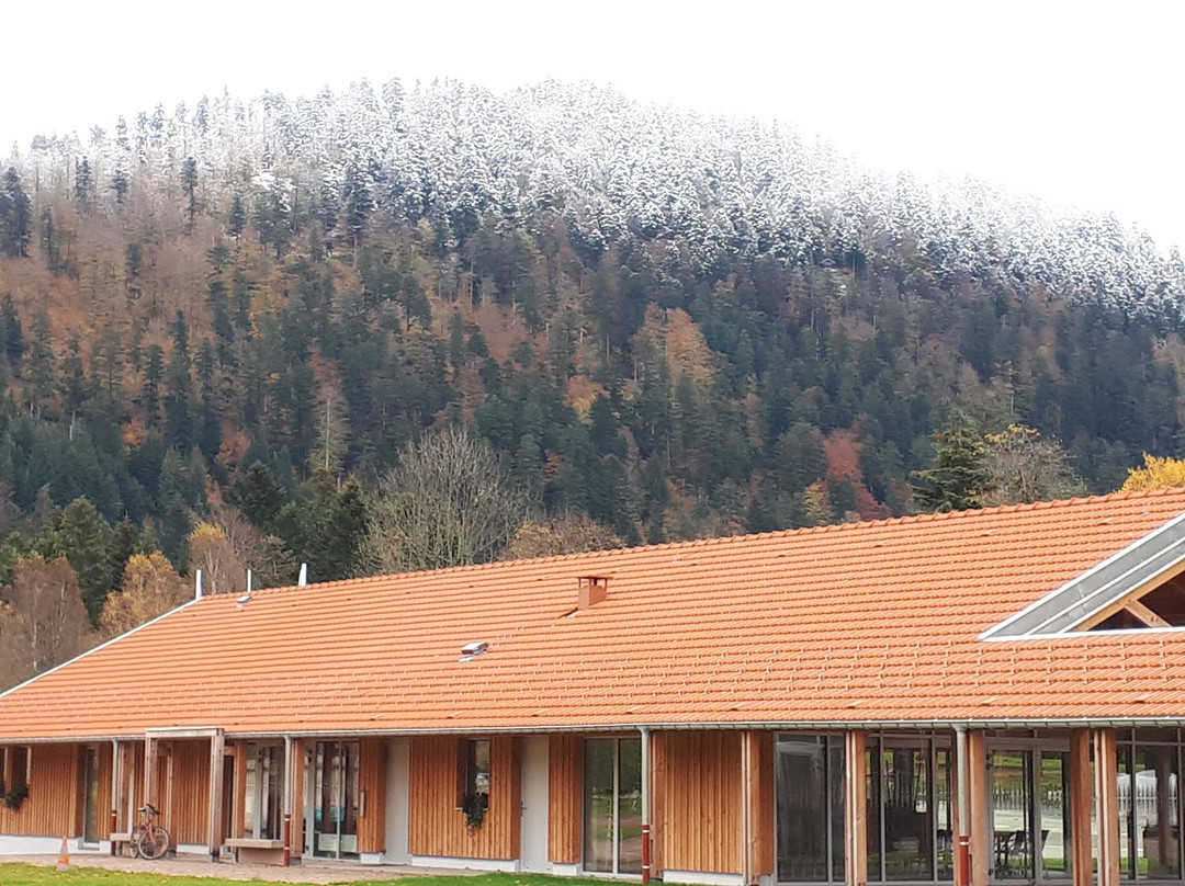 Le Domaine de Longemer