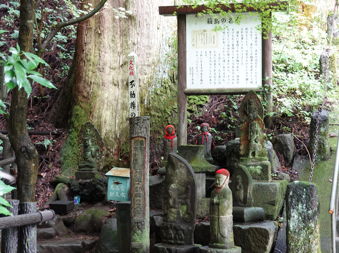 Hakoshima Yusui景点图片