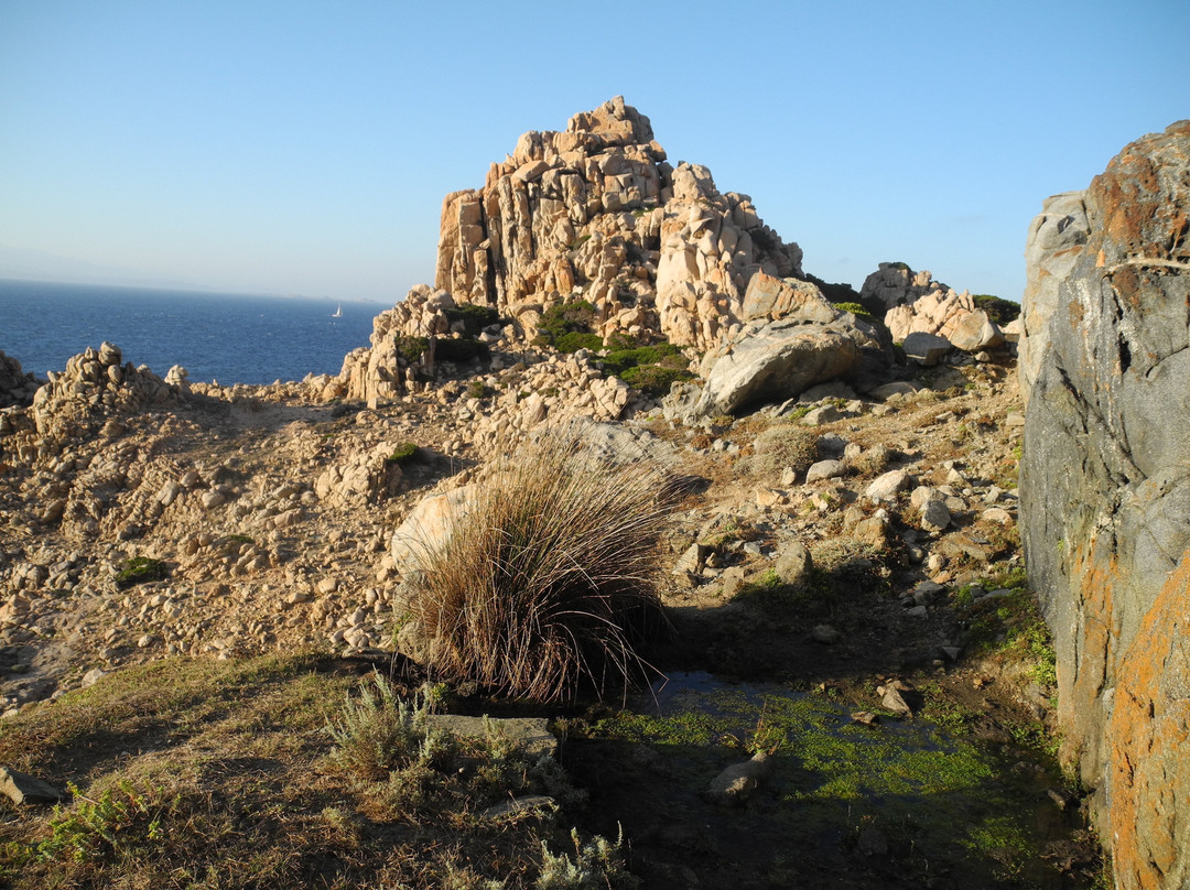 La Chicca Di Francesca主图