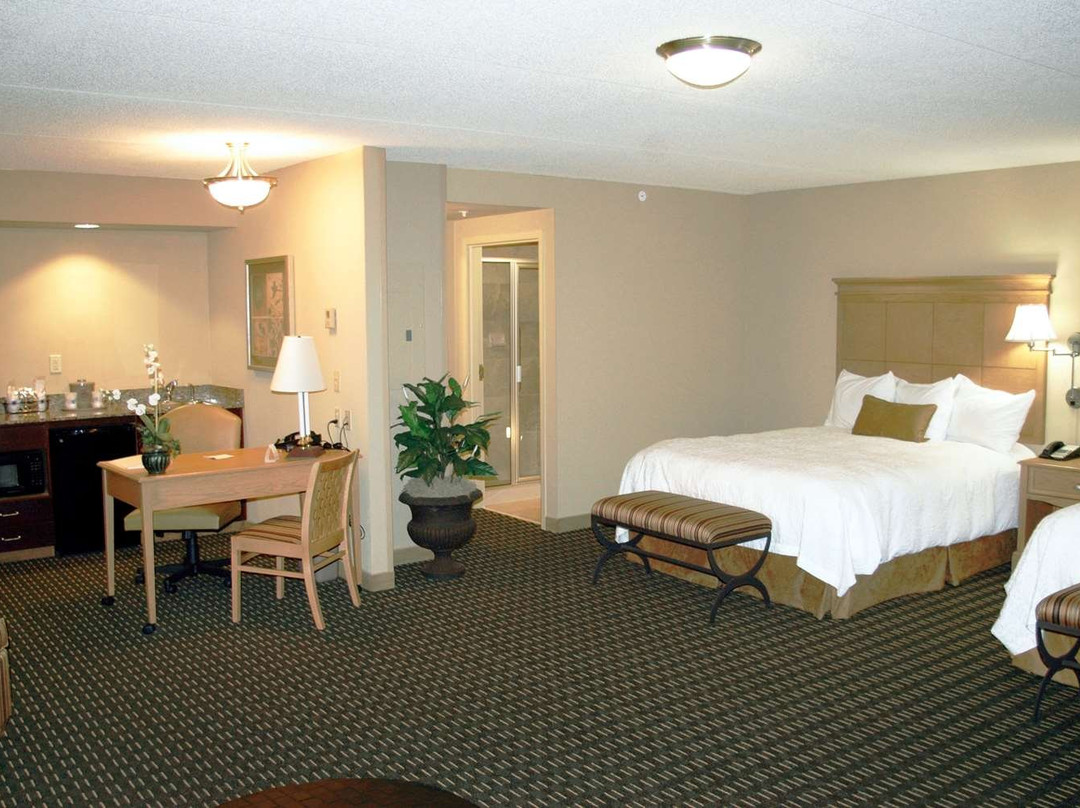 Hampton Inn & Suites Albany-Downtown主图