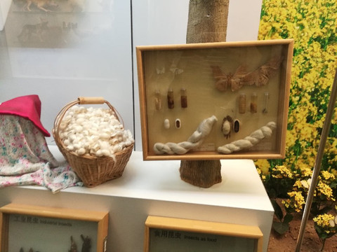 国家动物博物馆-北京市必去景点