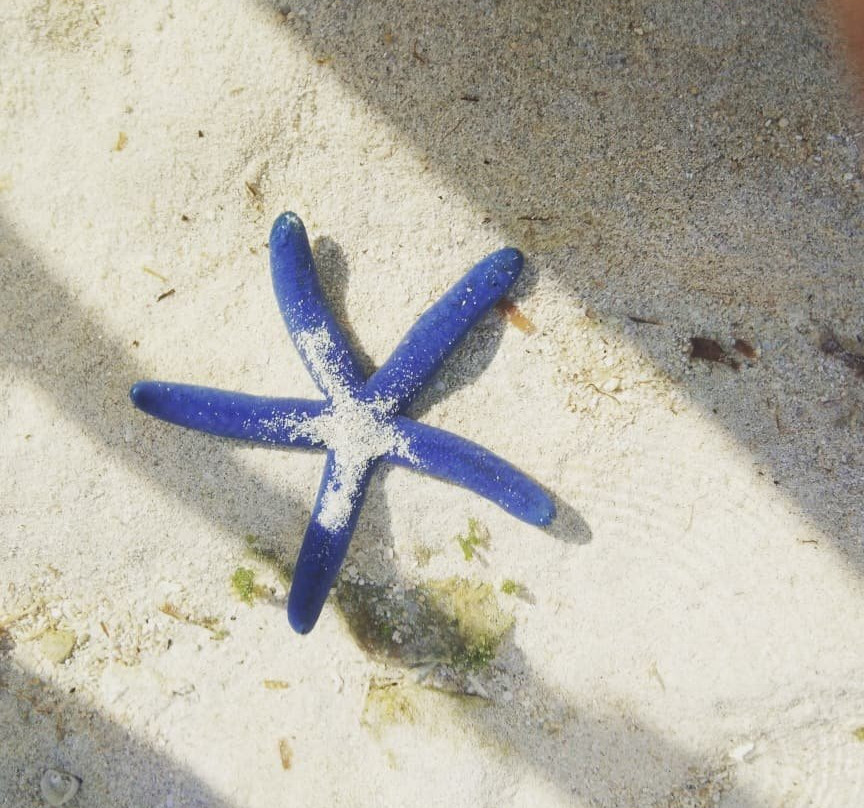 布鲁昂阿海滩-Caticlan必去景点